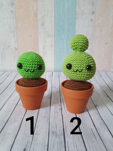 Amigurumi cactus - choose your favorite! - Custom made just for you - UnicateArt